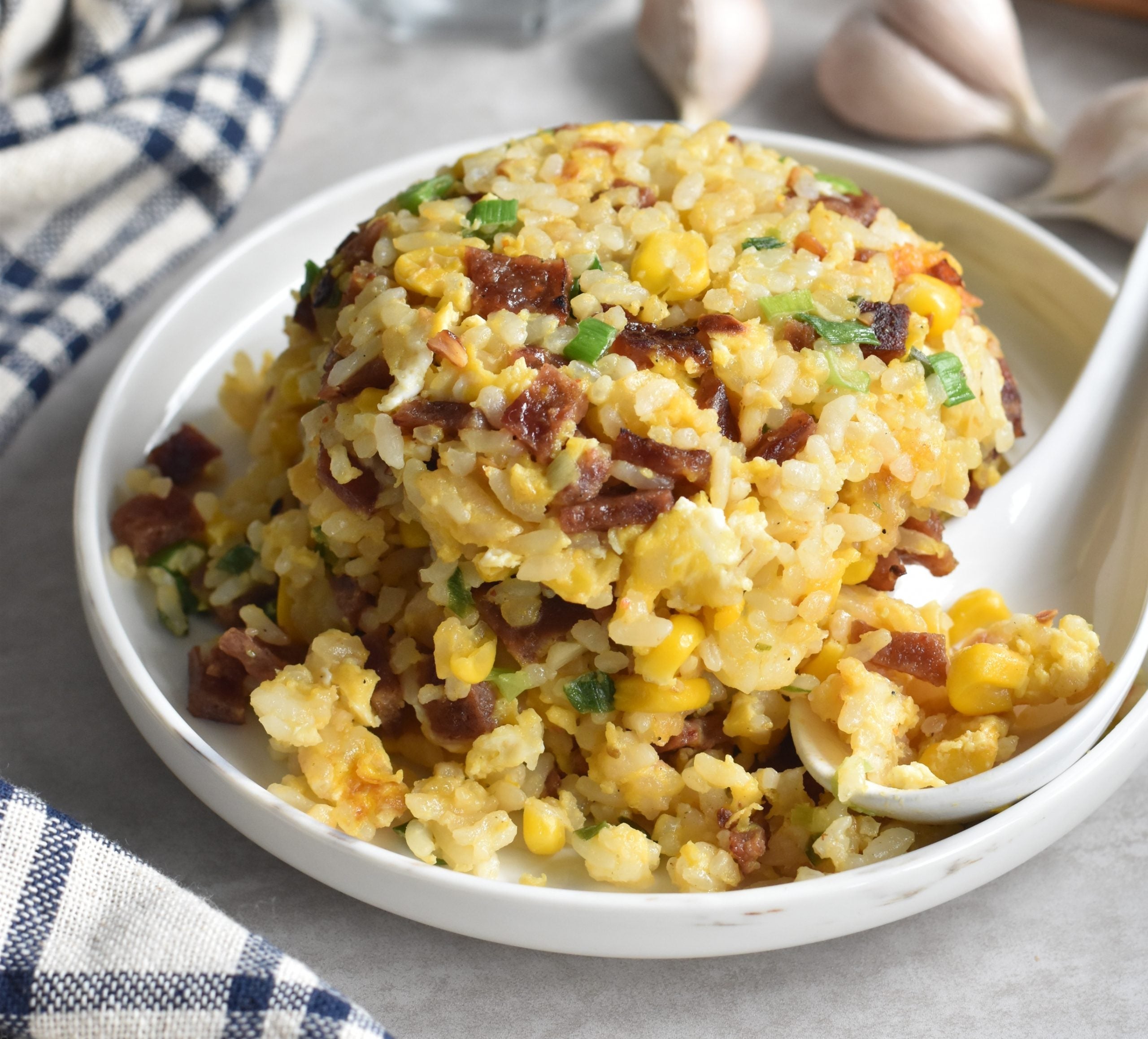 Chicken Bakwa Fried Rice – SharkNinja Singapore